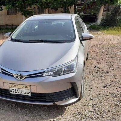 Luxor to Aswan Private Transfer