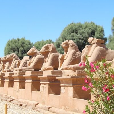 Aswan to Luxor Tour with Edfu and Kom Ombo Stops